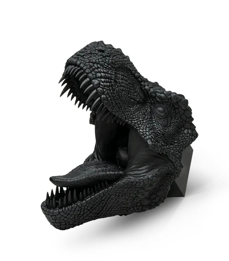 Phrozen Speed Plus 3D Printer Resin Phrozen