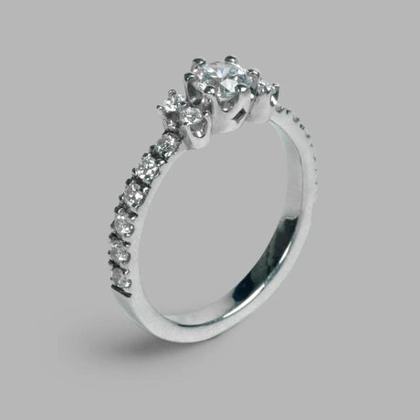 Phrozen Anycast Castable 3D Printer Resin Phrozen