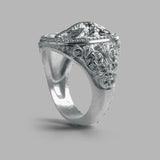 Phrozen Anycast Castable 3D Printer Resin Phrozen