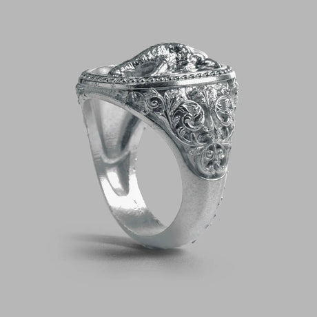 Phrozen Anycast Castable 3D Printer Resin Phrozen