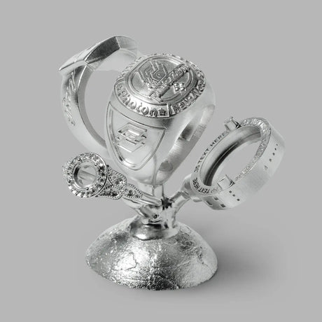 Phrozen Anycast Castable 3D Printer Resin Phrozen