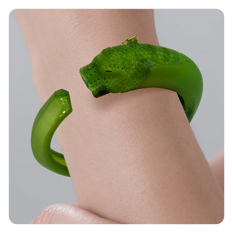 Phrozen Anycast Castable 3D Printer Resin Phrozen