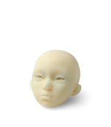 Phrozen BJD 3D Printer Resin Phrozen