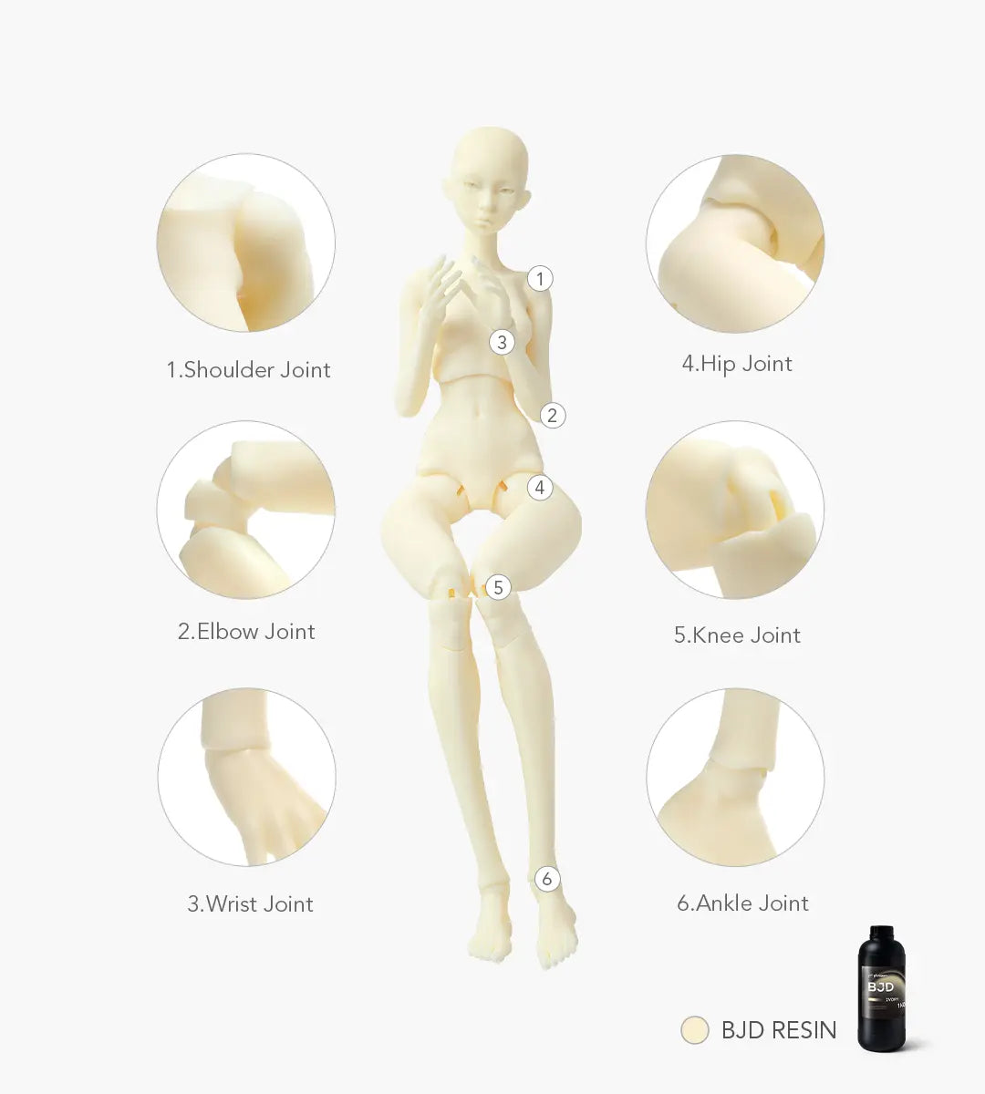 Phrozen BJD 3D Printer Resin Phrozen