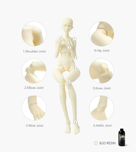 Phrozen BJD 3D Printer Resin Phrozen