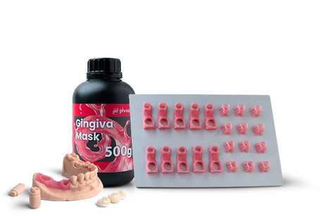 Phrozen Gingiva Mask resin bottle with a printed arch model and a build plate of gingiva mask parts